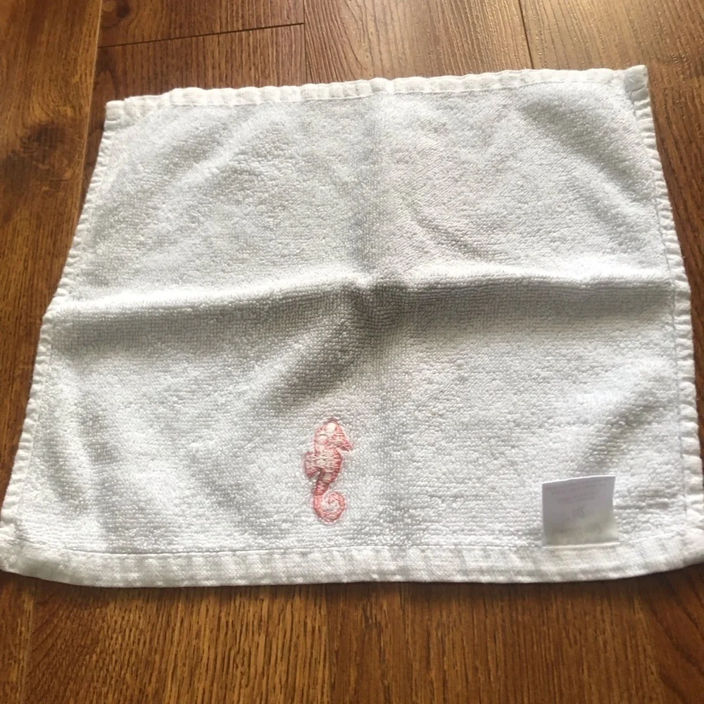 embroidered seahorse wash cloth